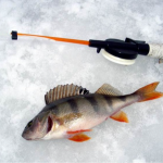 Календар рибалки на лютий 2026 року: в які дні і як взимку ловити трофейну рибу