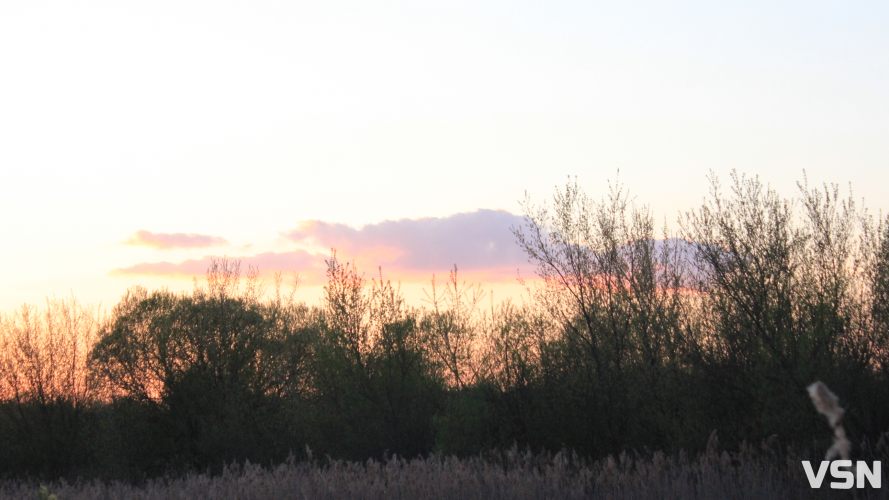 Заморозки та сильний вітер: прогноз погоди на робочий тиждень для Волині