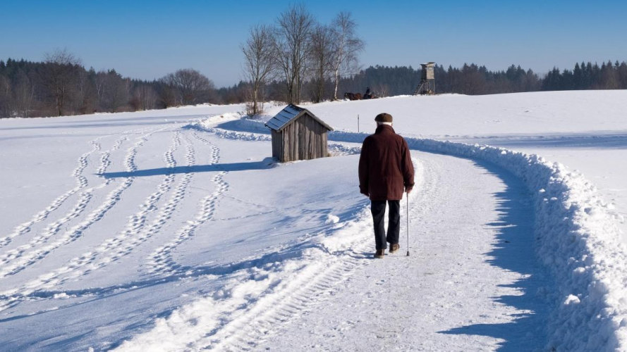 На Волині після потепління знову вдарять морози до −17 °C: синоптики попереджають про «сюрпризи»