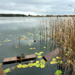 Невідомі понищили екостежку на території волинського нацпарку