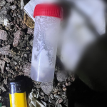 У Луцьку виявили підозрілу речовину: поліція затримала чоловіка