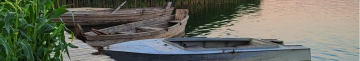 Мальовничий рай на Волині: затока Лука на озері Світязь приваблює відпочивальників