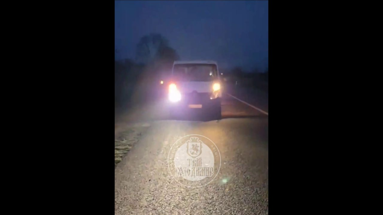 На Волині водій вантажного авто збив жінку. Відео