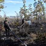 У Луцькому районі триває лісова пожежа: ліквідовано 7 га, залишилося 18 га