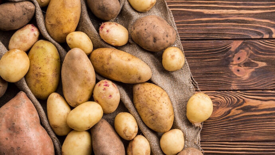 Дають щедрий урожай і гарно зберігаються до весни: 5 найкращих сортів картоплі