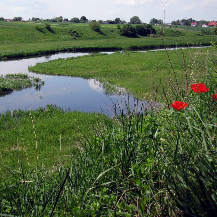 Дві громади на Волині поставили під загрозу гідрологічний заказник