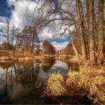 погода в україні