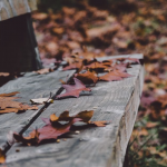 прогноз погоди на 12 листопада