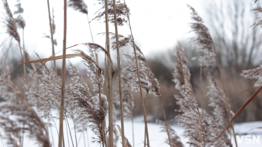 Мокрий сніг та ожеледиця: якою буде погода на Волині 24 та 25 січня?