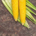 Коли можна садити кукурудзу?