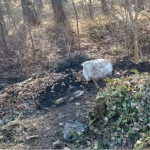 Люди витоптали стежку: чому ліс у Маневичах перетворюється на смітник