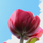 Яким буде початок весни на Волині: прогноз погоди на березень