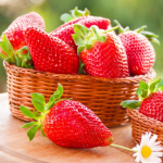 вирощування полуниці