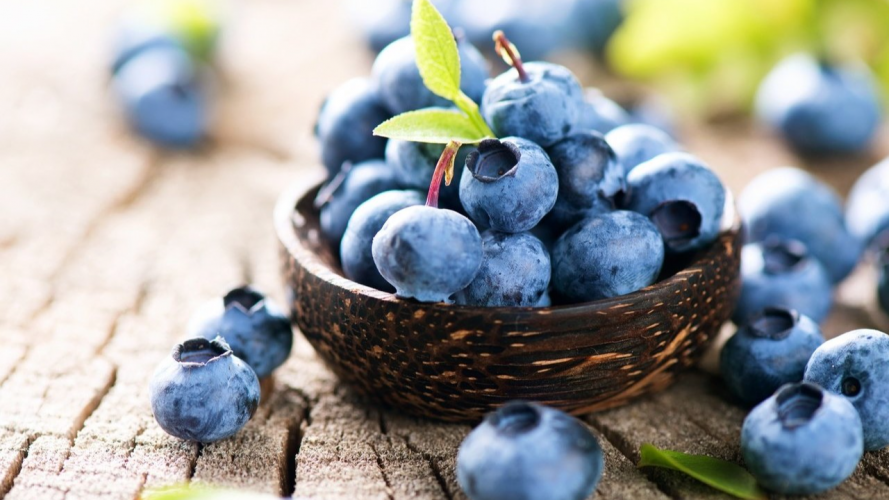 що зробити з лохиною навесні