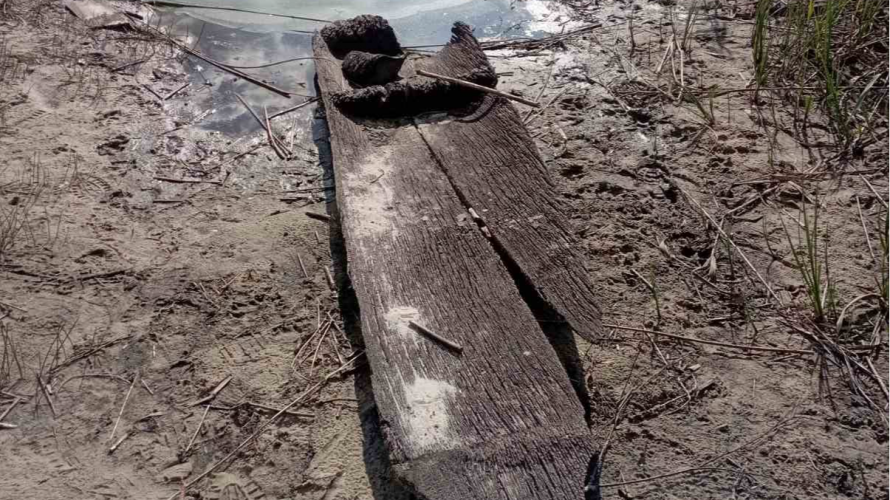 На Волині рибалки на дні озера знайшли середньовічний човен