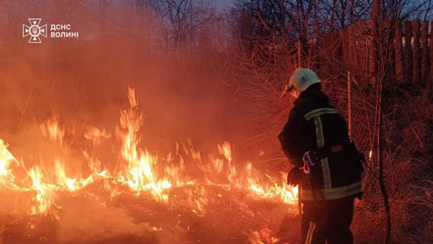 На Волині через людську недбалість вигоріло близько 8 га сухої трави та чагарників