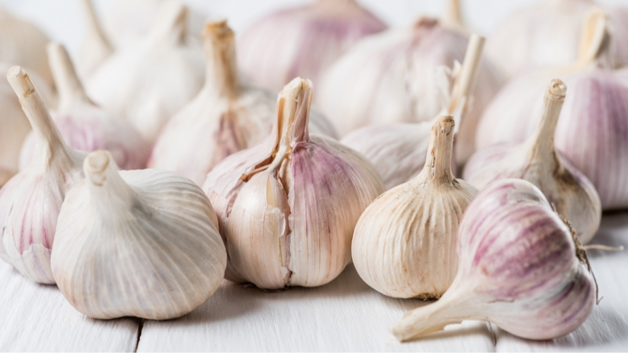 Вирощування озимого часнику