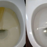 Жодної жовтизни та нальоту: як швидко і просто помити унітаз