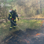 Через недопалок — пожежа: на Волині вигоріло 1,3 га лісу