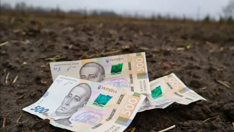 На Волині підприємство змусили заплатити майже чверть мільйона гривень за користування землею