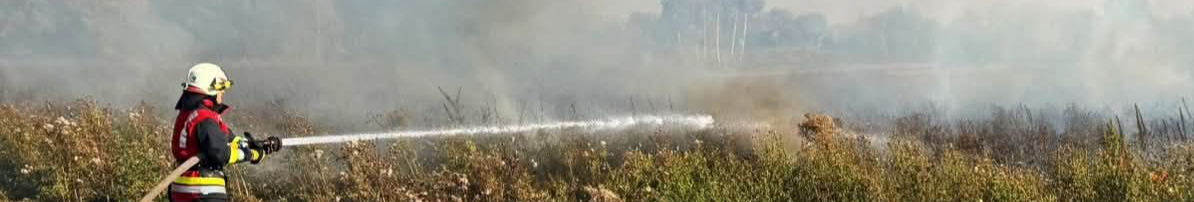 На Волині за добу вигоріло понад шість гектарів у п’яти локація: оштрафували одного палія