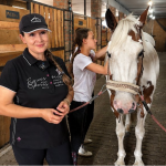 У Луцькій громаді ветеранів та їхні родини відновлюватимуть за допомогою коней