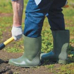 посадка городу перед Великоднем