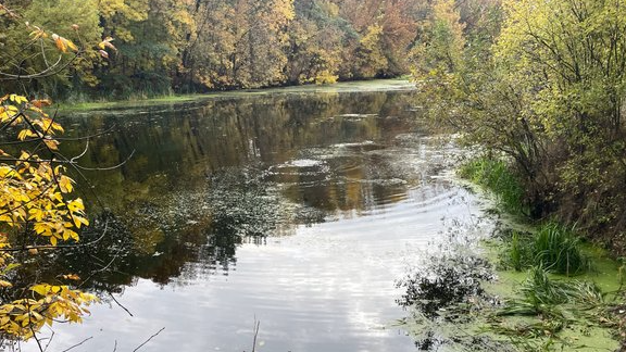 На Волині малолітній хлопець зіштовхнув з мосту 4-річну дитину, вона загинула