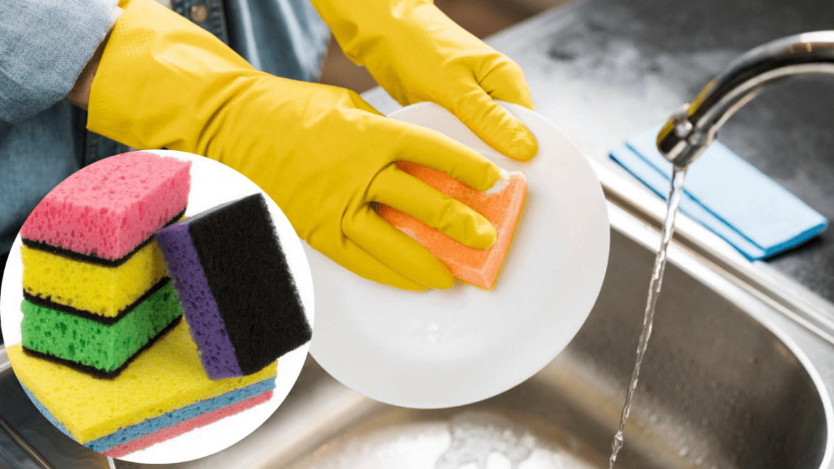Що означає колір губки для миття посуду: вибираємо правильно