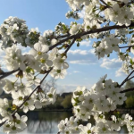 погода в Україні, прогноз погоди