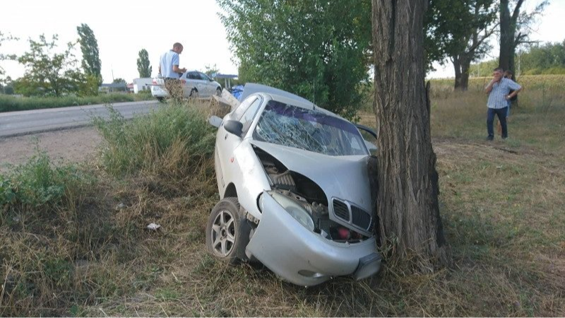 На Волині п’яний студент на автівці врізався в дерево: пасажир отримає 100 тисяч гривень моральної шкоди