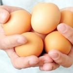 Можуть забрати удачу: чому не можна позичати курячі яйця сусідам