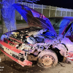 У Луцьку п’яний водій пошкодив знак і врізався в дерево