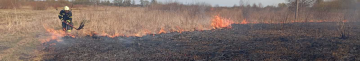 Через підпали на Волині за добу вигоріло понад 12 гектарів сухостою