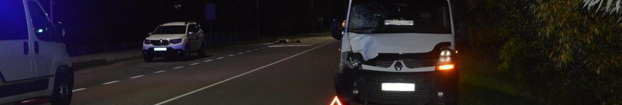 На Волині Renault збив жінку на пішохідному переході: вона загинула