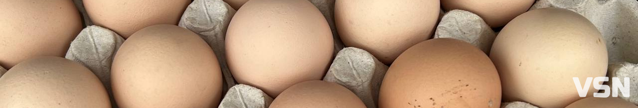 Скільки коштують яйця на ринку у Луцьку?