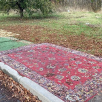 коври на зупинці у Полтаві