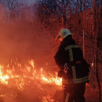 На Волині через людську недбалість вигоріло близько 8 га сухої трави та чагарників