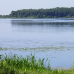 В самому серці волинського Полісся: розповіли про ще одне мальовниче озеро, оточене лісом