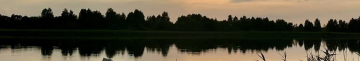 Ніколи не було потопельників: показали волинське озеро, яке ідеально підходить для риболовлі та відпочинку