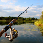 риболовля, удар струмом, Закарпаття