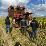 Промислові масштаби й збитки на 5 млн грн: на Волині ліквідували тіньове виробництво тютюну