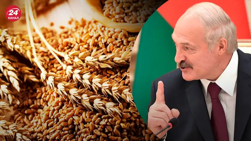 Через Волинь і Рівне: чому Білорусь дозволила транзит зерна з України