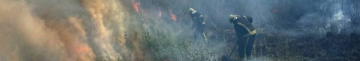 На Волині через людську недбалість сталася пожежа сухої трави