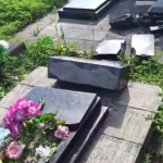 У селищі на Волині буревій понищив пам’ятники на кладовищі. Відео