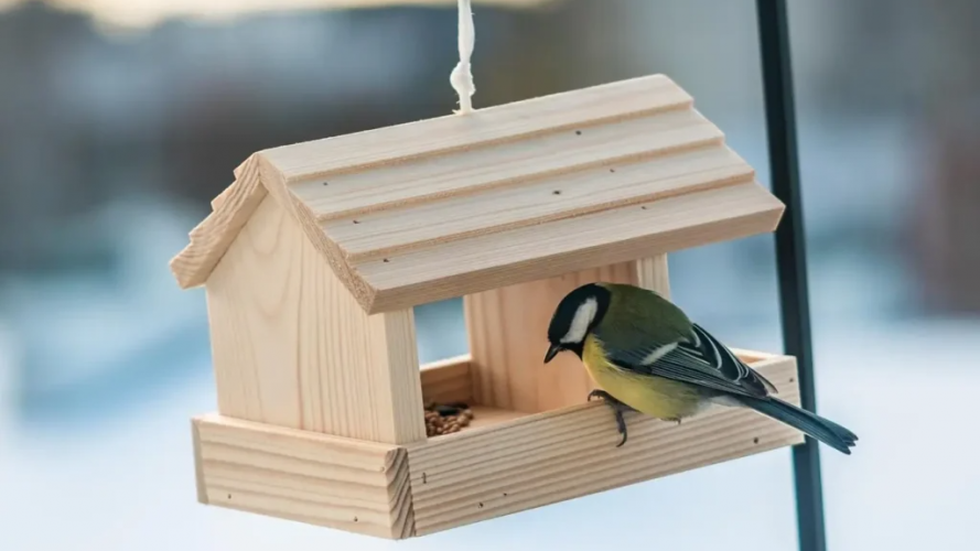 Як зробити годівничку з фанери своїми руками: покрокова інструкція