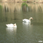 Як виглядає парк 900-річчя у Луцьку навесні 2026. Фоторепортаж