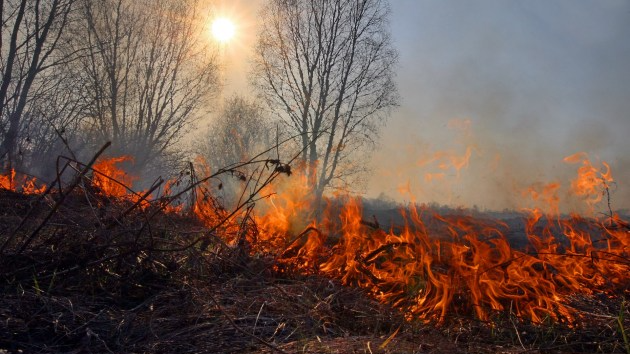 Волинян продовжують штрафувати за підпали трави, рятувальники оприлюднюють прізвища