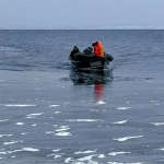 На Черкащині у ставку знайшли тіла двох маленьких дітей