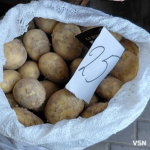 Скільки коштує молода картопля на ринку у Луцьку: огляд цін